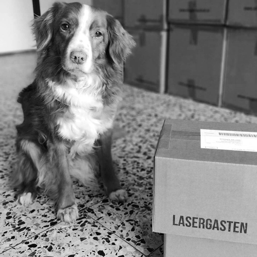 laserhond lotje