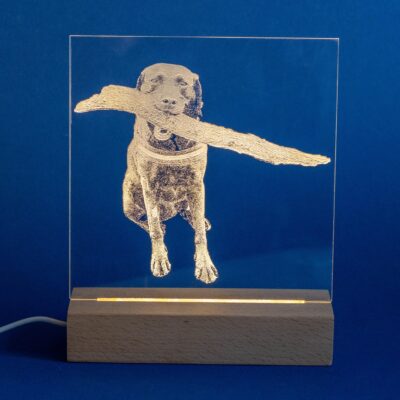 lasergasten gepersonaliseerde lamp huisdier